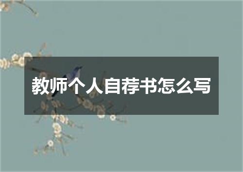 教师个人自荐书怎么写
