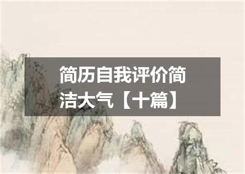 简历自我评价简洁大气【十篇】