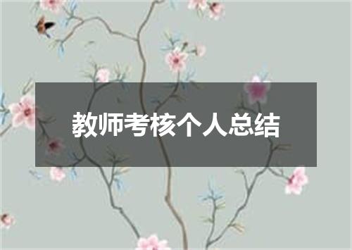 教师考核个人总结