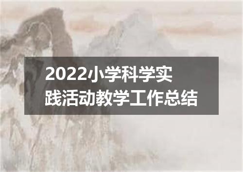 2022小学科学实践活动教学工作总结