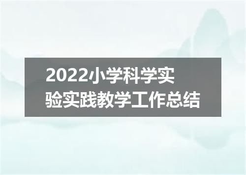 2022小学科学实验实践教学工作总结