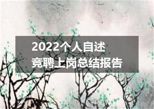 2022个人自述竞聘上岗总结报告