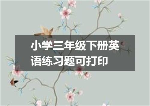 小学三年级下册英语练习题可打印