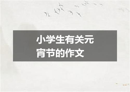 小学生有关元宵节的作文
