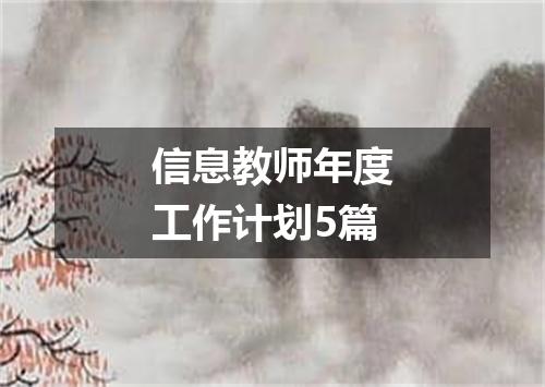 信息教师年度工作计划5篇