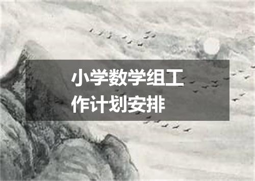 小学数学组工作计划安排