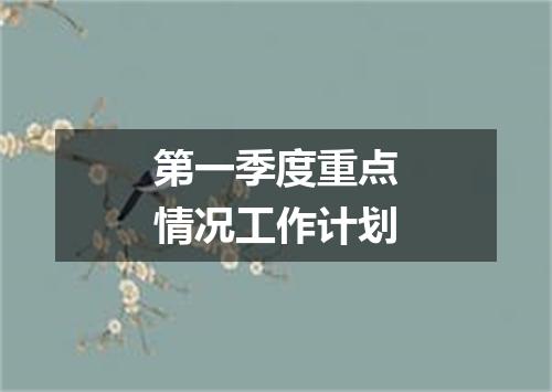 第一季度重点情况工作计划