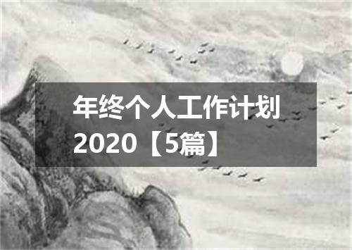 年终个人工作计划2020【5篇】