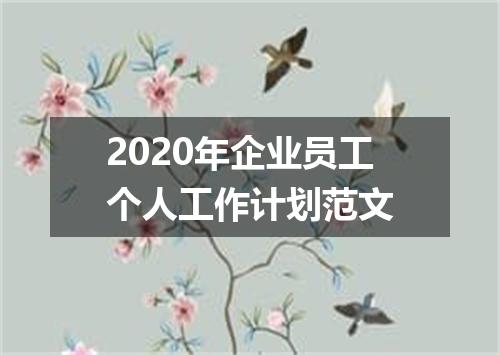 2020年企业员工个人工作计划范文
