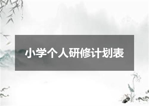 小学个人研修计划表