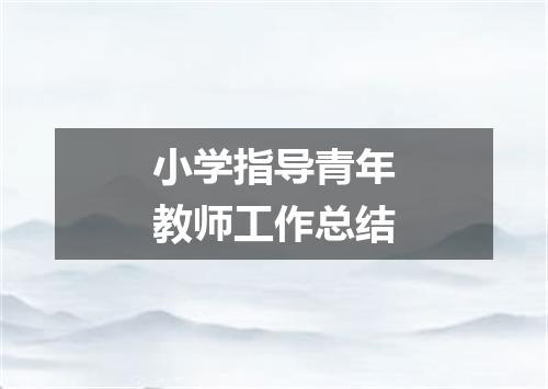 小学指导青年教师工作总结
