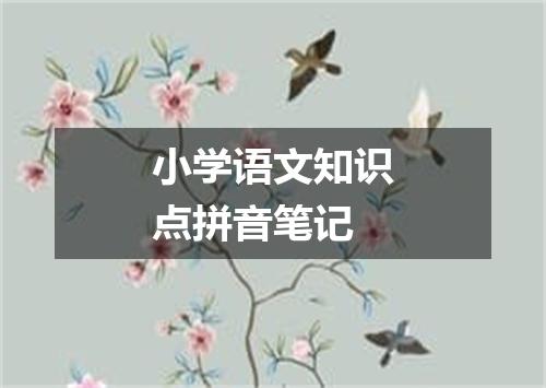 小学语文知识点拼音笔记
