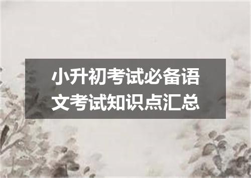 小升初考试必备语文考试知识点汇总