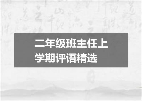 二年级班主任上学期评语精选