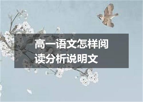 高一语文怎样阅读分析说明文