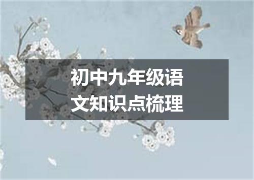 初中九年级语文知识点梳理