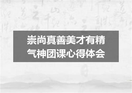 崇尚真善美才有精气神团课心得体会