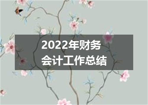 2022年财务会计工作总结