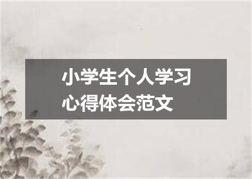 小学生个人学习心得体会范文