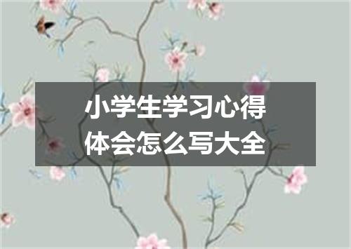 小学生学习心得体会怎么写大全