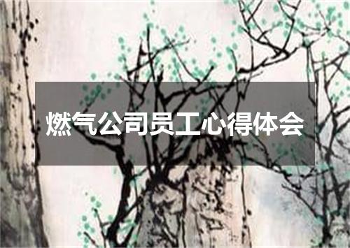 燃气公司员工心得体会