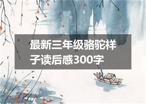 最新三年级骆驼祥子读后感300字