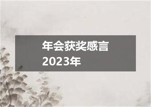 年会获奖感言2023年