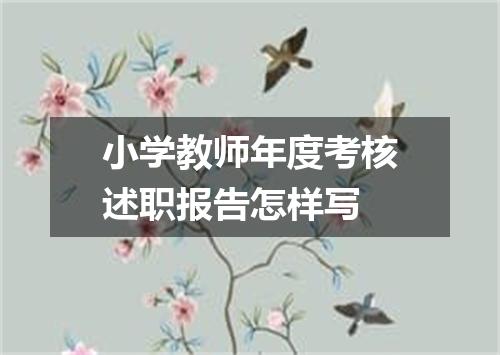 小学教师年度考核述职报告怎样写