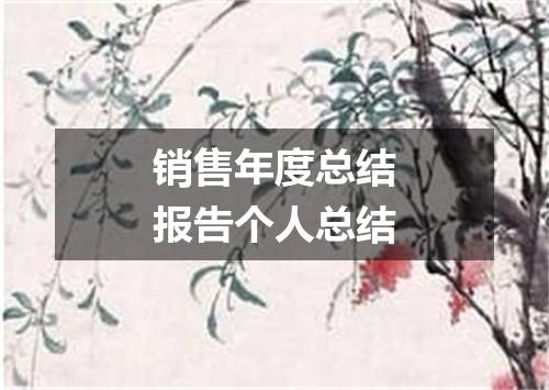 销售年度总结报告个人总结