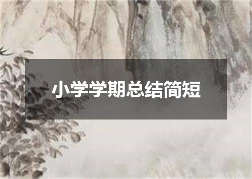 小学学期总结简短