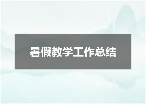 暑假教学工作总结
