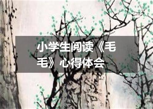 小学生阅读《毛毛》心得体会