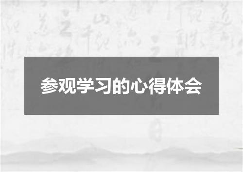 参观学习的心得体会
