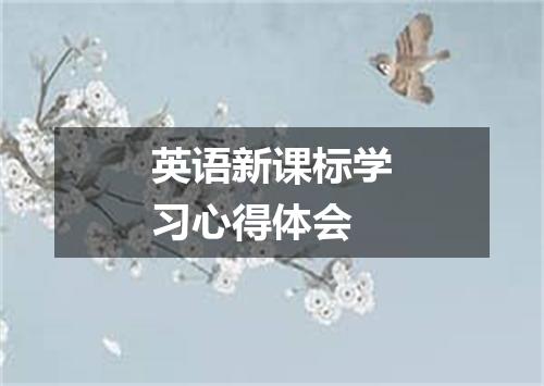 英语新课标学习心得体会