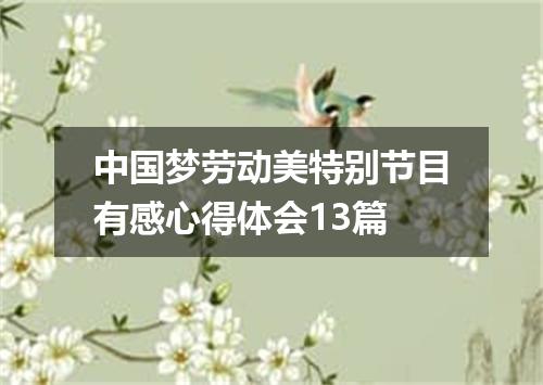 中国梦劳动美特别节目有感心得体会13篇