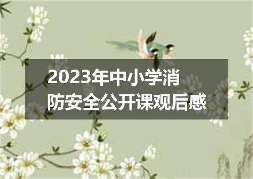 2023年中小学消防安全公开课观后感
