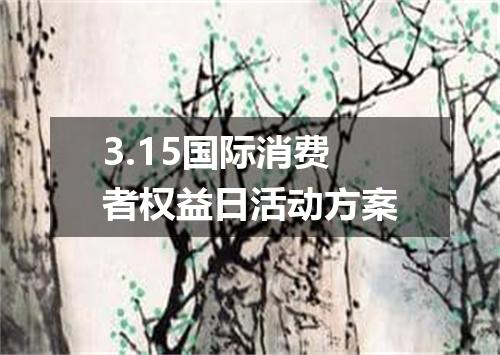 3.15国际消费者权益日活动方案