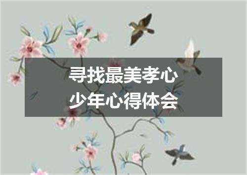 寻找最美孝心少年心得体会