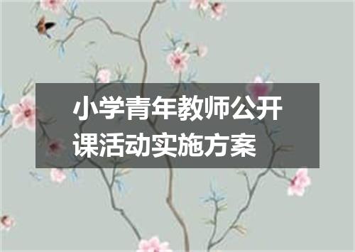 小学青年教师公开课活动实施方案