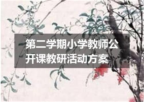 第二学期小学教师公开课教研活动方案