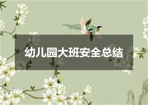 幼儿园大班安全总结