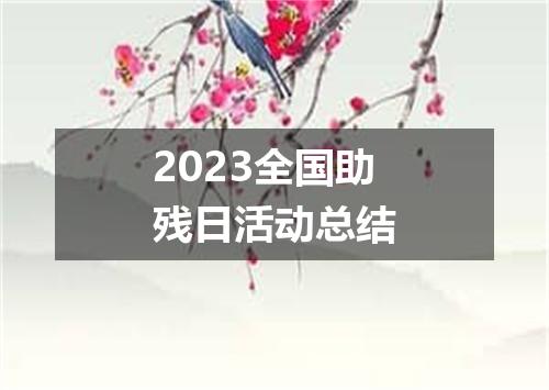 2023全国助残日活动总结