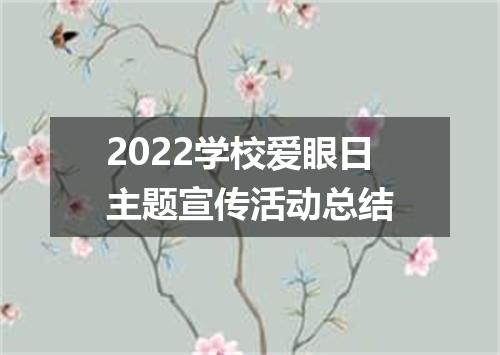 2022学校爱眼日主题宣传活动总结