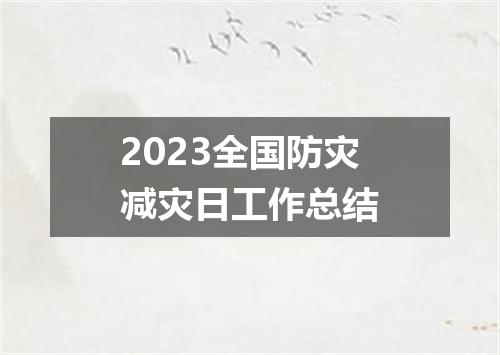 2023全国防灾减灾日工作总结