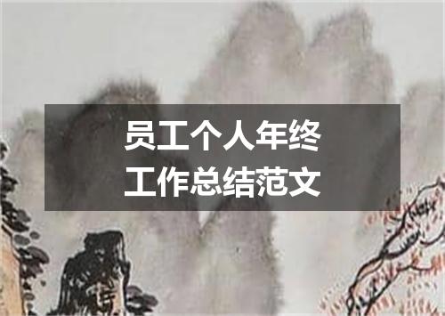 员工个人年终工作总结范文