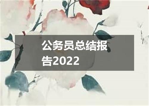 公务员总结报告2022
