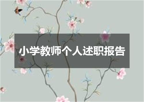 小学教师个人述职报告
