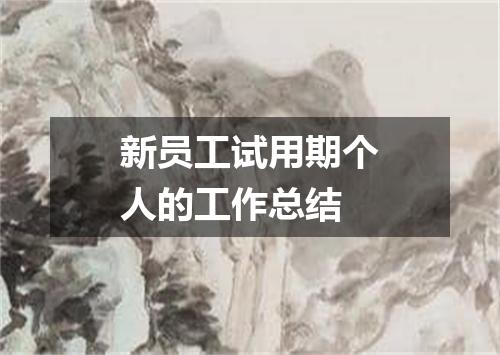 新员工试用期个人的工作总结
