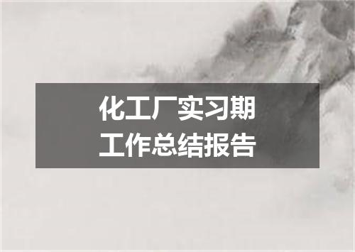 化工厂实习期工作总结报告