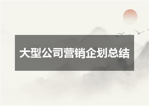 大型公司营销企划总结